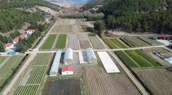 Yozgat'ta Fidanlık Çalışmaları: 'Yeşil Vatan' İçin Seferberlik