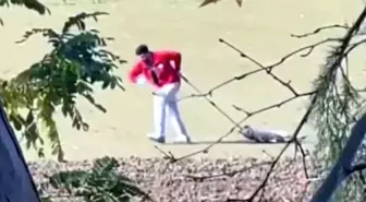 Edirne'de sahipsiz köpeği sürükleyen belediyede personeli gözaltına alındı