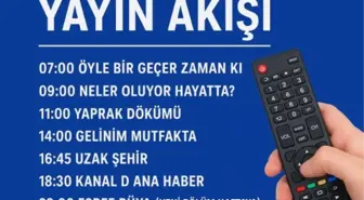 Kanal D yayın akışı, 12 Kazım Çarşamba hangi diziler var?