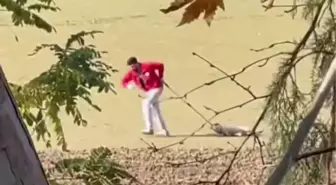 Sokak Köpeğine Kötü Muamele Yapan Belediye Personeli Serbest Bırakıldı