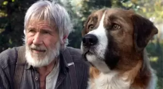 Vahşetin çağrısı köpek gerçek mi?