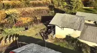 12 Suçtan Aranan Firari Hükümlü Operasyonla Yakalandı