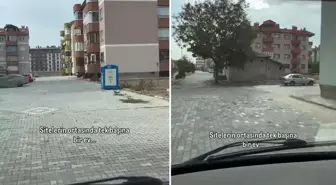 Görenler gözlerine inanamıyor! İşte koca sitenin içindeki müstakil evin sırrı