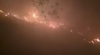 Hatay'da Yıldırım Düşmesi Sonucu Orman Yangını