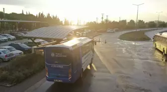 Tuzla Belediyesi'nin ücretsiz ring seferlerinden binlerce vatandaş faydalandı