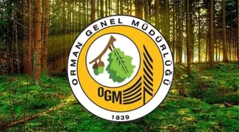 Yangın söndürme uçağı düştü mü?