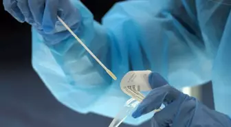 Birçok ülke alarma geçti! 5 ay önce ortaya çıktı, büyük bir hızla yayılıyor