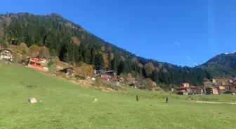 Ayder'den Huser Yaylası'na Teleferik Hattı Planlanıyor