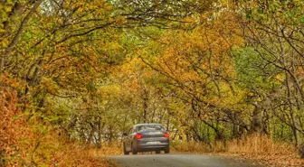 Hizan'ın Sonbahar Güzellikleri Dron ile Görüntülendi