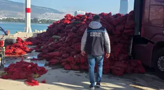 İzmir'de Yasa Dışı Avlanan 27 Ton Kara Midye Ele Geçirildi