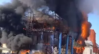 Ödemiş'te Salça Fabrikası Yangını