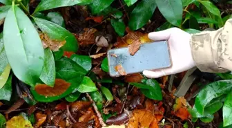 Kastamonu'da Kayıp Kadının Cep Telefonu Bulundu