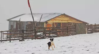 Ordu'da Sonbahar Karı Yüksek Kesimleri Beyaza Bürüdü
