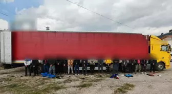 Sivas'ta Düzensiz Göçmen Kaçakçılığı Operasyonu