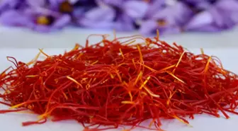 1 kilosuna araba alınıyor! Hasat çiftçiyi ihya etti