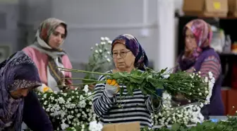 Süs Bitkileri İhracatında Yüzde 15'lik Artış