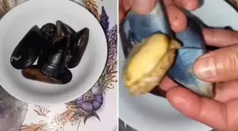İnsanlara ne yediriyorlar? Midyeye tövbe ettirecek görüntü