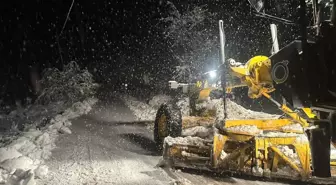 Ordu-Sivas Kara Yolu Yoğun Kar Yağışı Sonrası Tekrar Ulaşıma Açıldı