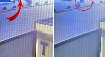 Emekli astsubay, sokak köpeğini tabancayla vurdu