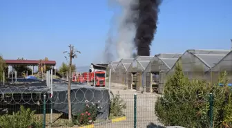 Manisa'da Sera Yangını Kontrol Altına Alındı