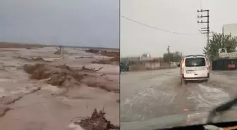 Mardin'de sel! Evler ve tarım arazileri sular altında kaldı