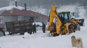 Ordu'da Kar Yağışı Yayla Yollarını Kapatmıştı, Ekipler Müdahale Etti