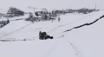 Ordu'da Karla Mücadele Çalışmaları Devam Ediyor
