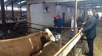 Tarım ve Hayvancılığın Önemi Vurgulandı