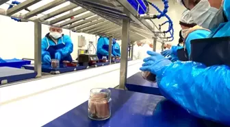 Sinop'ta Lakerda ve Su Ürünleri Üretim Tesisi Tanıtıldı