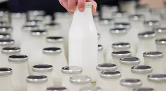 Süt Sektörü, Yerel Güç ve Küresel Vizyon İçin Antalya'da Toplanıyor