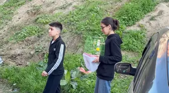 Tekirdağ'da Apartman Yangını: Kız Çocuğu ve Kuşu Kurtarıldı