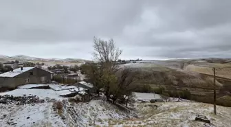 Ahlat'ta yüksek kesimlere kar yağdı