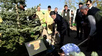 Bakan Yumakllı: 11 Kasım'da 14 milyon 914 bin fidan toprakla buluştu