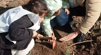 'Gazze Hayat Ormanı'na hayatını kaybeden çocuklar için 10 bin fidan dikildi