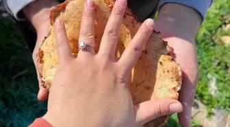 Antalya'nın Kaş ilçesinde Mantar Toplama Sezonu Başladı