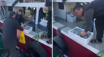 Kasalar dolusu balığı bedava dağıttılar! Nedeni de bir o kadar ilginç