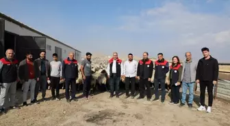 Elazığ'da Modern Küçükbaş Ağılı Faaliyete Geçti