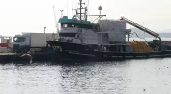 Marmara Denizi'nde Balık Bolluğu, Balıkçılar Sezona Belediyor