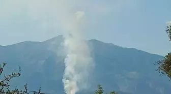Muğla Seydikemer'de Orman Yangını