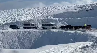Muş'ta Kar ve Tipi 14 Köy Yolunu Kapatı