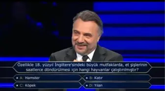 Özellikle 18. yüzyıl İngiltere'sindeki büyük mutfaklarda, et şişlerinin saatlerce döndürülmesi için hangi hayvanlar çalıştırılmıştır?