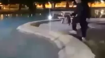 Antalya'da Sokak Kedisine Çirkin Saldırı