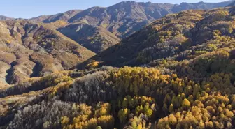 Tunceli'nin Salördek Ormanları Sonbaharda Doğaseverlerin Gözdesi