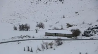 Van, Bitlis ve Hakkari'de Kar Yağışı Etkili Oldu