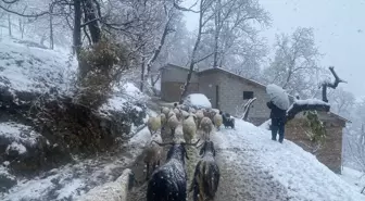 Van'ın Yüksek Kesimlerine Kar Yağışı, 15 Santimetreyi Buldu