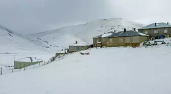 Güzeldere Geçidi'nde Kar ve Sis Etkili Oldu