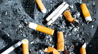 Berlin'de Sigara İzmaridi Atmanın Cezası 250 Avrodan Başlıyor