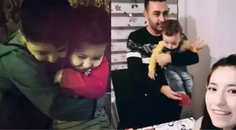 Böcek ailesi neden öldü? Böcek ailesi neden zehirlendi? Alüminyum fosfit nedir?