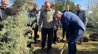 Diyarbakır'da Dünya Prematüre Günü Etkinliği Düzenlendi