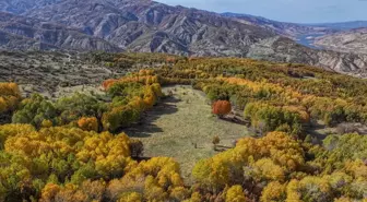 Andok Dağı'nda Sonbahar Renkleri Görsel Şölen Sunuyor